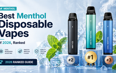 elf bar vape uk Best Menthol Disposable Vapes of 2026, Ranked