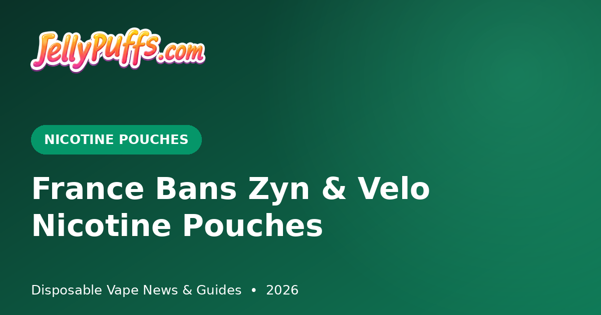 France Bans Zyn and Velo Pouches — Heavy Fines for Travelers