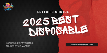 2025 best disposable