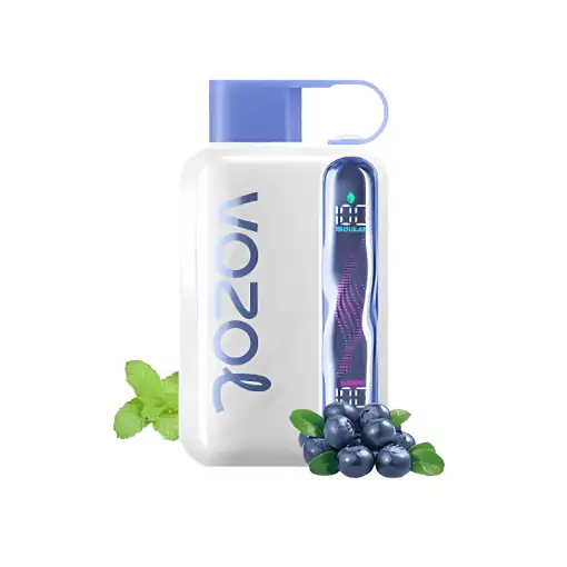 Blueberry Mint - Vozol Star 40000 Disposable Vape JellyPuffs