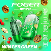 Wintergreen - Foger Bit 35k Disposable Vape JellyPuffs
