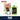 RAZ LTX DC25000 Disposable Sour Apple Ice