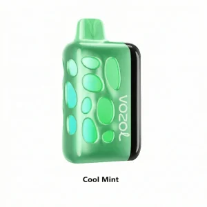 Cool Mint - Vozol Rave 50000 Disposable JellyPuffs