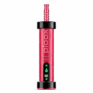 Rose Berry Ploox Molasses 75K disposable e-hookah by JellyPuffs — delicate rose petal florals over a mixed berry compote, no ice; up to 75,000 puffs, 40mL, 0.5% (5mg) nicotine, rechargeable shisha vape