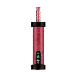 Strawmelon Peach - Ploox Molasses 75k Disposable E-Hookah